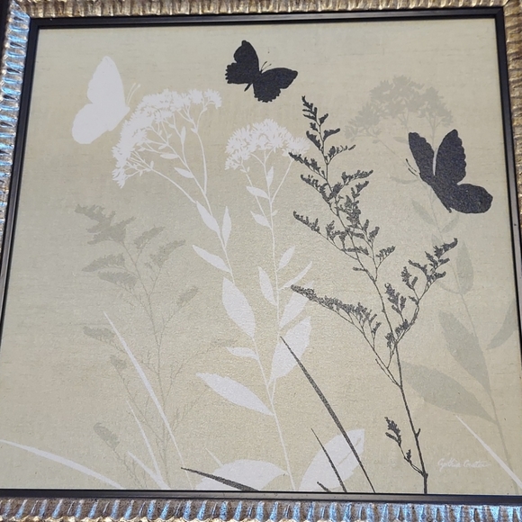 Butterfly nature picture - Picture 5 of 8